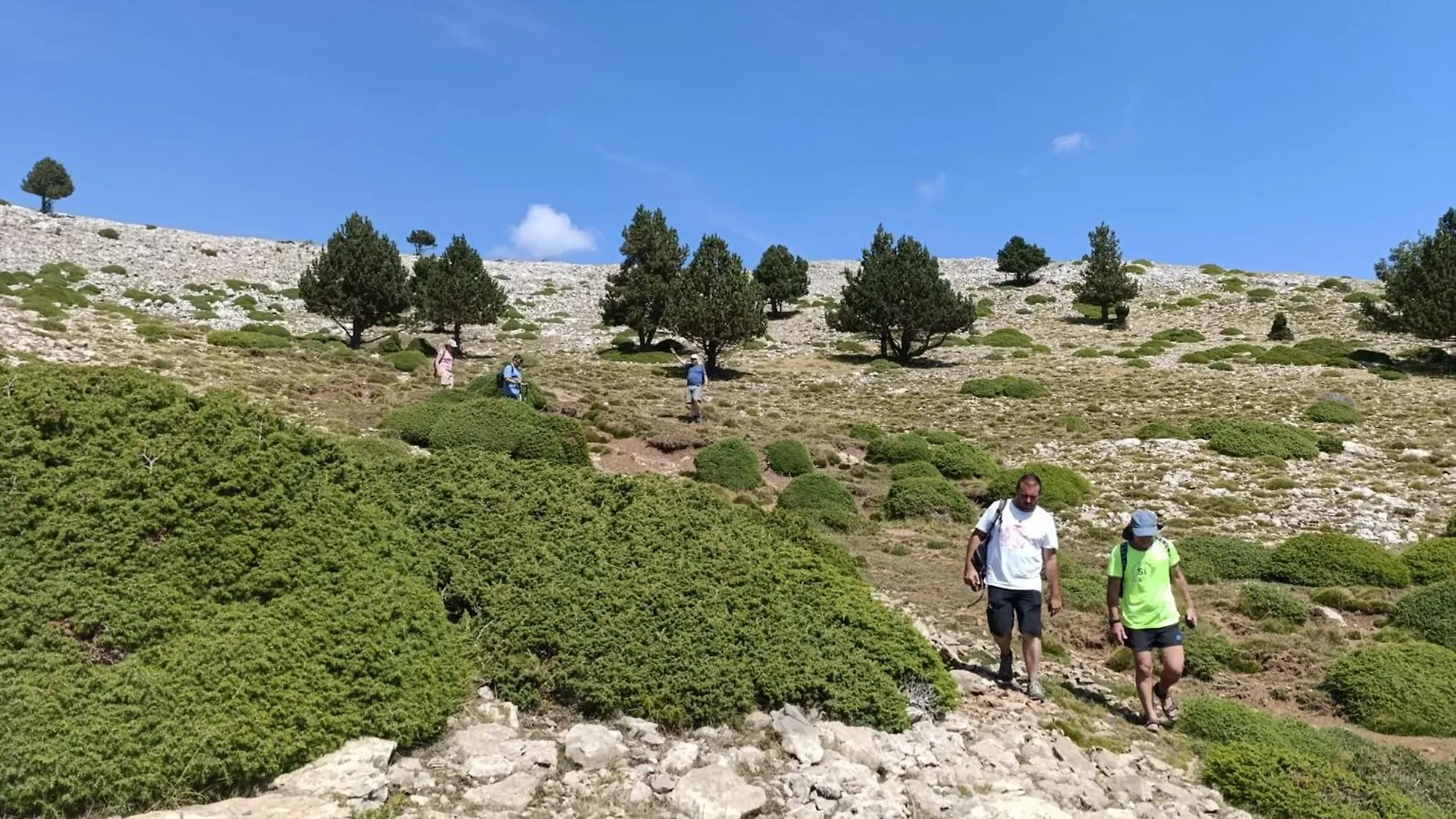 Dinosaur House Daire Coll de Nargó